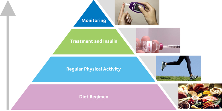 Type 2 Diabetes Type 2 Treatment Diagram